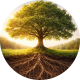 Mending Roots Outreach